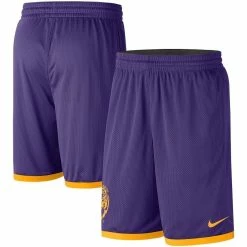 Cheap β Men's Nike Purple/Gold LSU Tigers Logo Performance Shorts βοΈ
