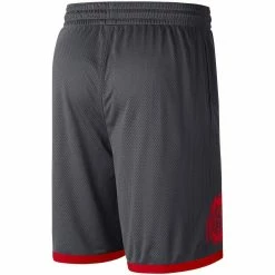 New 🛒 Men's Nike Charcoal/Scarlet Ohio State Buckeyes Logo Performance Shorts 🔔 -activewear Sales unnamed file 1780