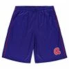 Coupon 👍 Profile Men's Royal Atlanta Braves Big & Tall Mesh Shorts 😉